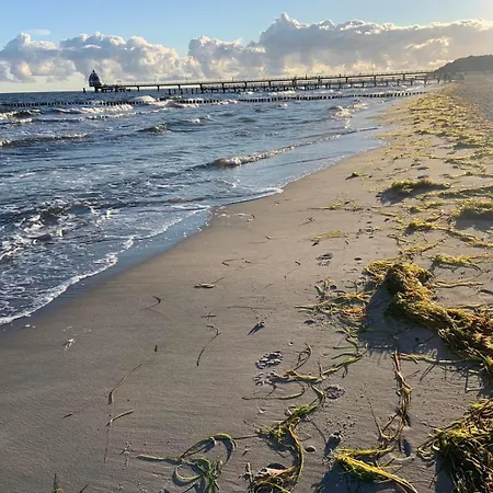 Buhne 08 Holiday home Zingst