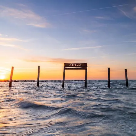 Buhne 08 Zingst